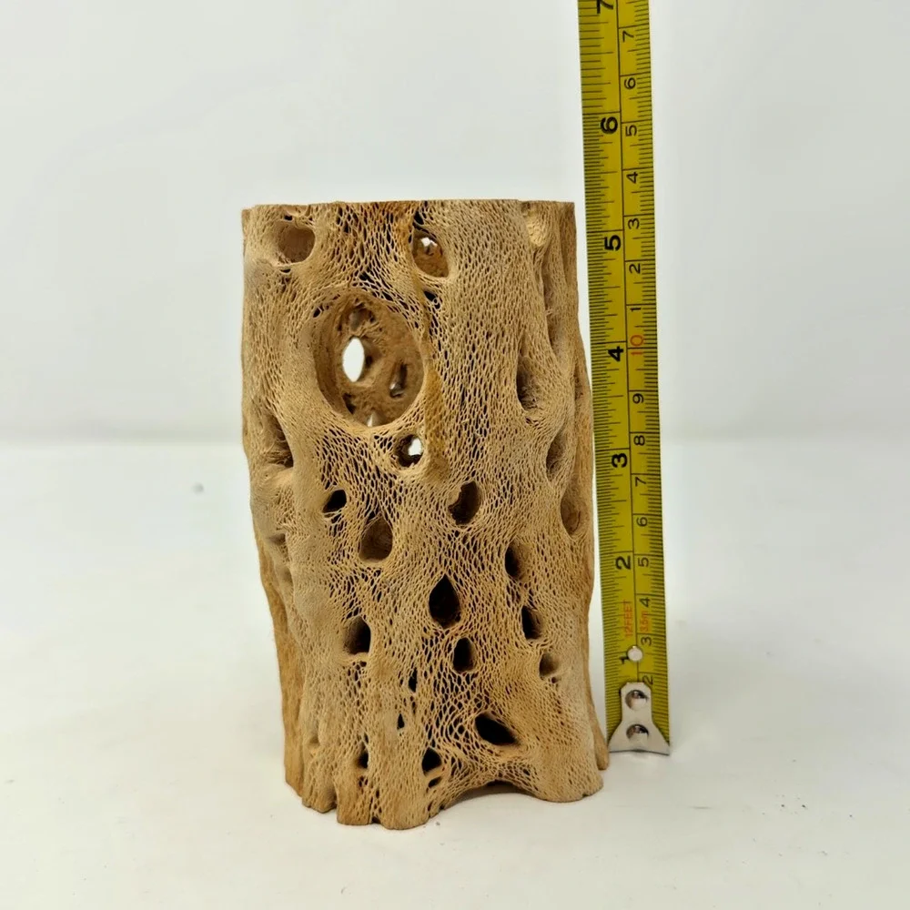 Natural Cholla Cactus Wood Chunk Skeleton Tube 5.5in Aquarium Reptile Decors